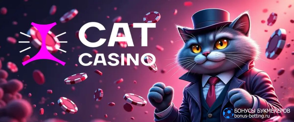 Cat casino